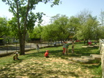 DSC01300.JPG